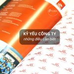 kỷ yếu công ty